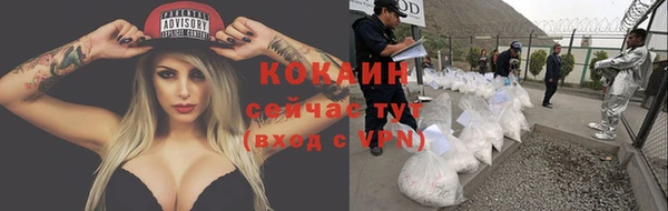 твердый Белокуриха