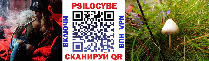 Галлюциногенные грибы GOLDEN TEACHER  Видное 